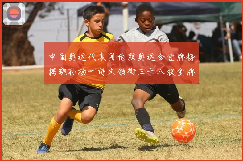 中国奥运代表团伦敦奥运会金牌榜揭晓孙杨叶诗文领衔三十八枚金牌居首