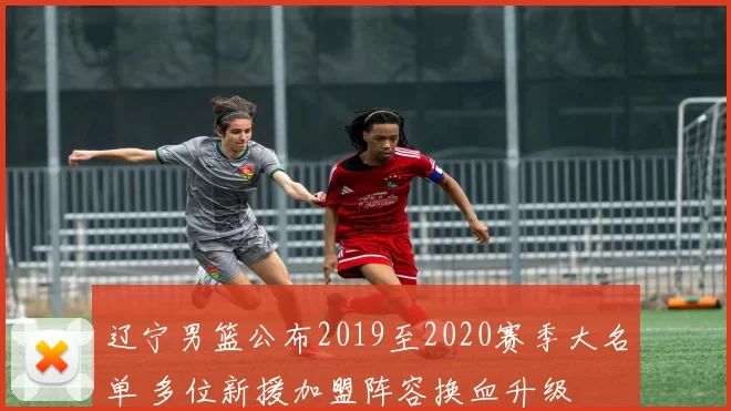 辽宁男篮公布2019至2020赛季大名单 多位新援加盟阵容换血升级