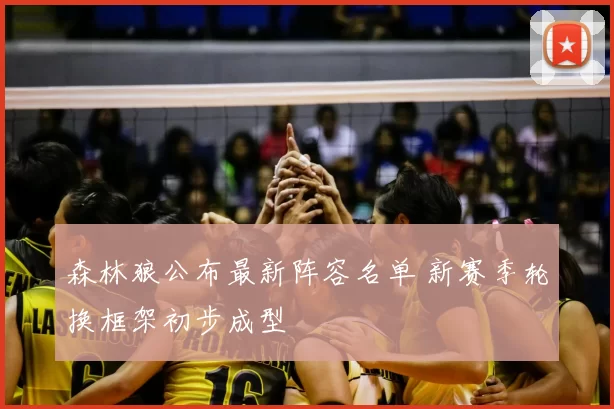 森林狼公布最新阵容名单 新赛季轮换框架初步成型