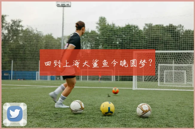 回到上海大鲨鱼今晚圆梦?