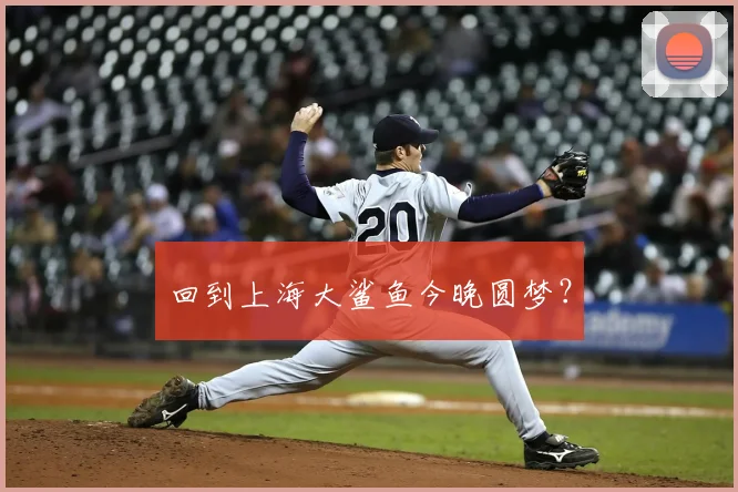 回到上海大鲨鱼今晚圆梦?