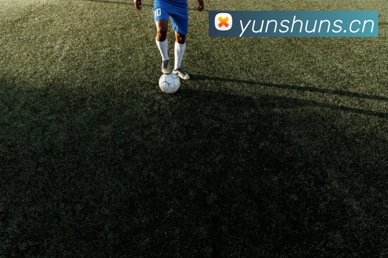 奖项证书